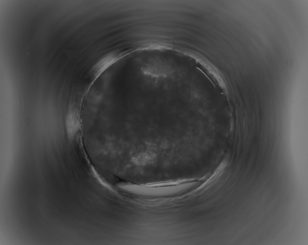 X0000086781385200705111746