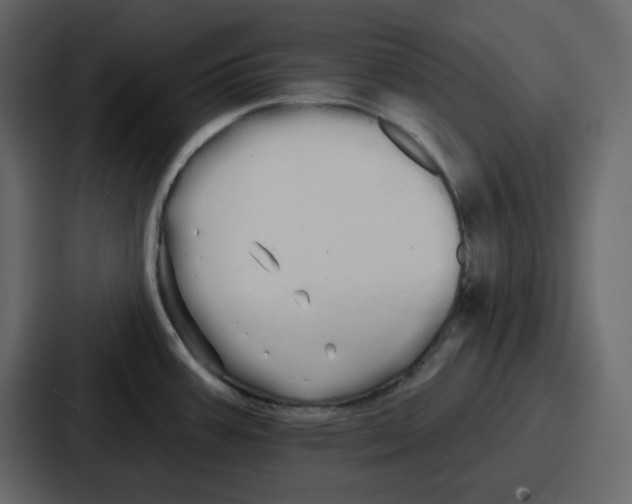 X0000086781387200705111746