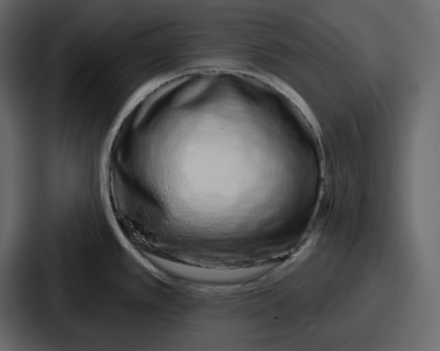 X0000086781389200705111746