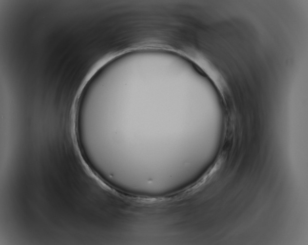 X0000086781390200705111746