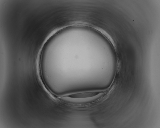 X0000086781391200705111746