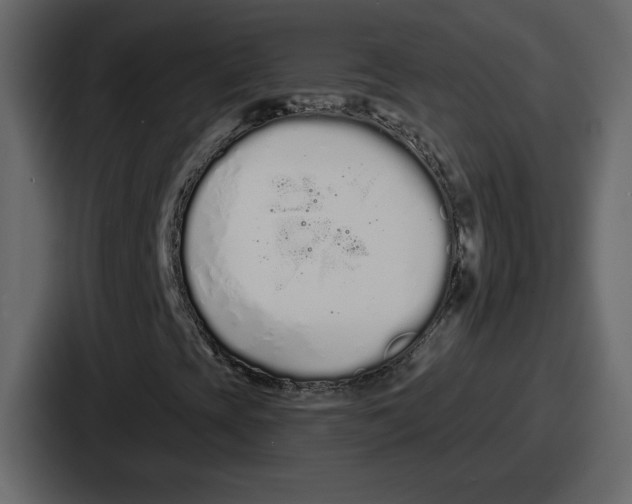 X0000086781393200705111745