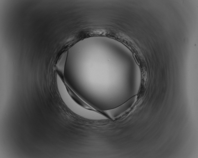 X0000086781394200705111746