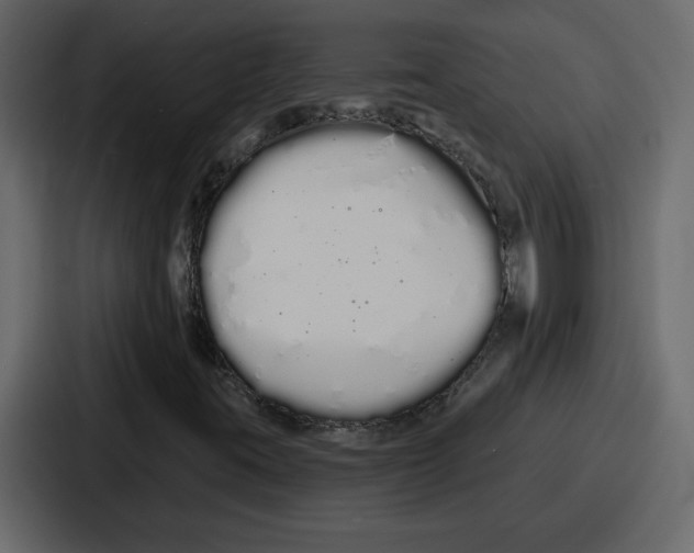 X0000086781395200705111746