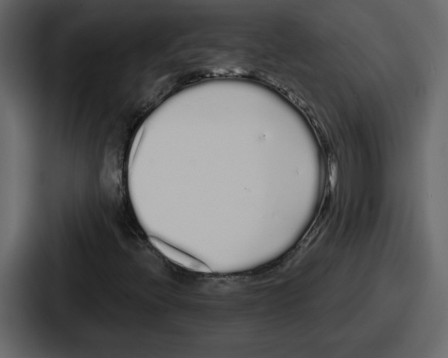 X0000086781396200705111746