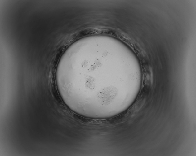 X0000086781397200705111746