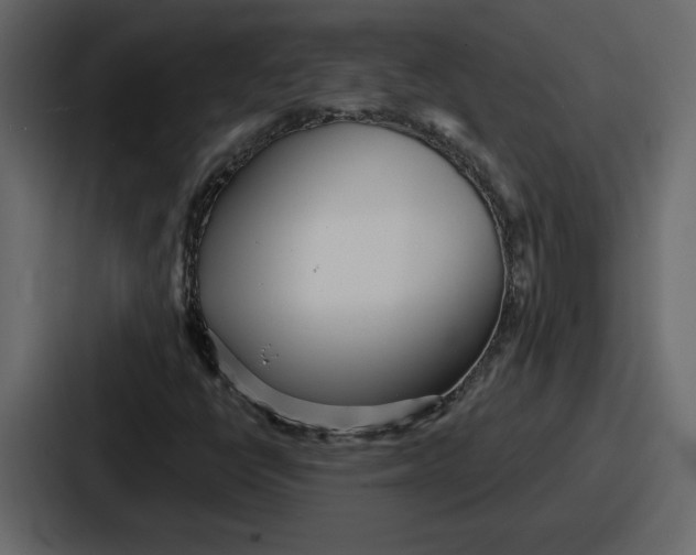 X0000086781398200705111746