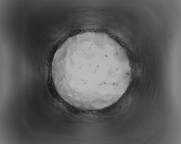 X0000086781399200705111746