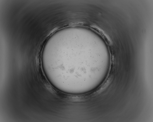 X0000086781401200705111746