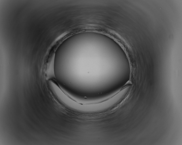 X0000086781402200705111746