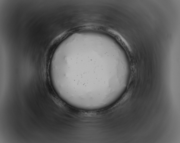 X0000086781403200705111746