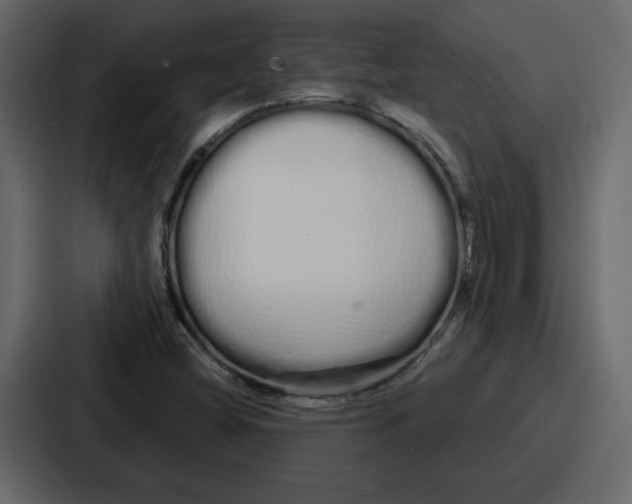 X0000086781404200705111746