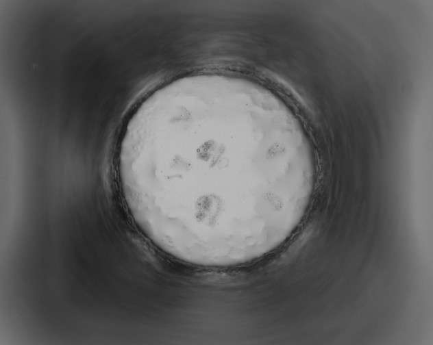 X0000086781405200705111746