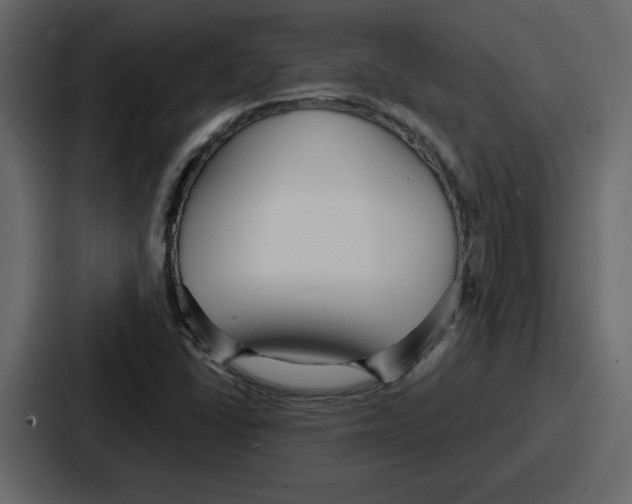 X0000086781406200705111746