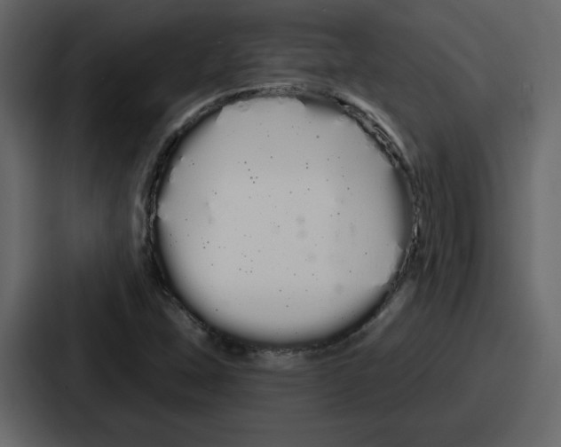 X0000086781407200705111746