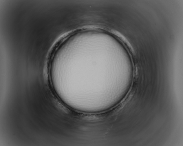 X0000086781408200705111746