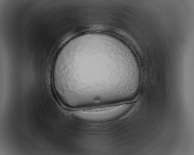 X0000086781409200705111746