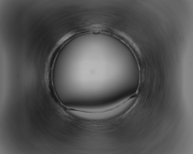 X0000086781410200705111746