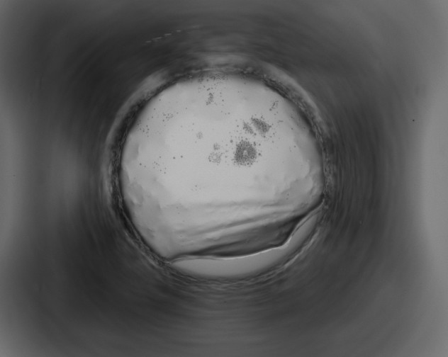 X0000086781411200705111746