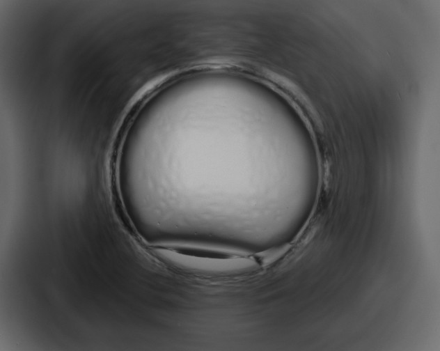 X0000086781412200705111746