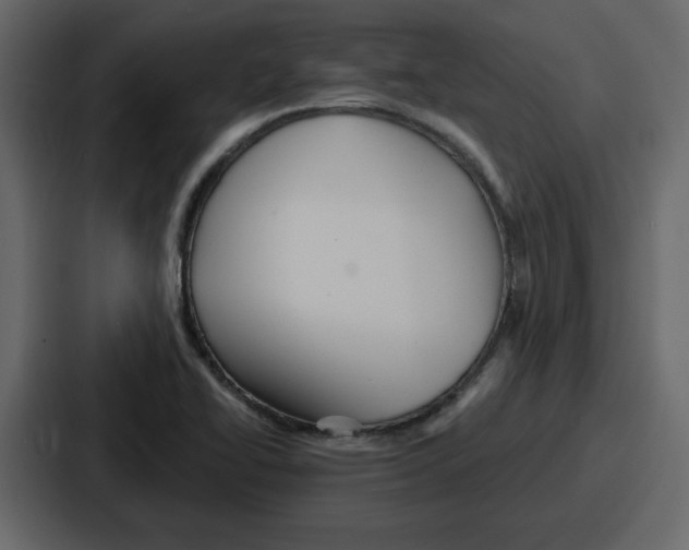 X0000086781414200705111746