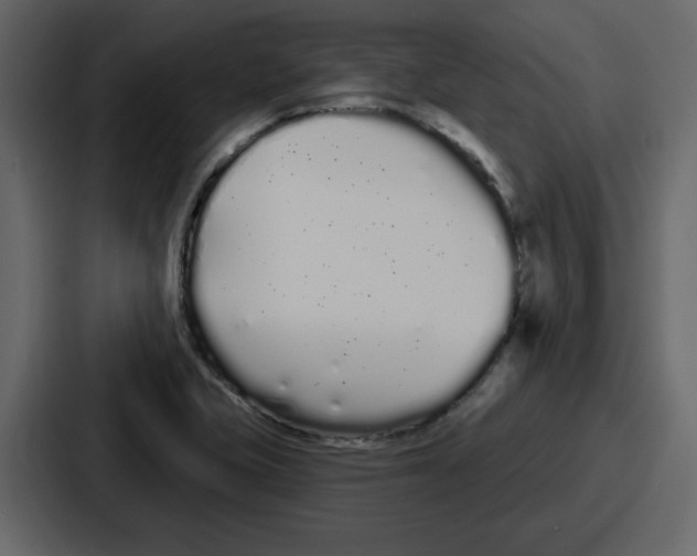 X0000086781415200705111746