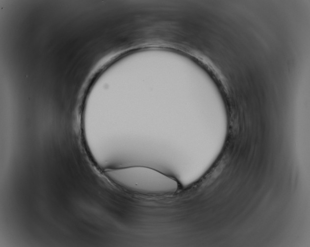 X0000086781416200705111746