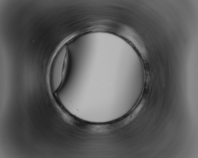 X0000086781418200705111746