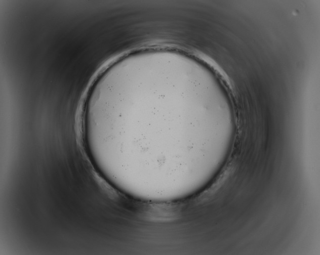 X0000086781421200705111746