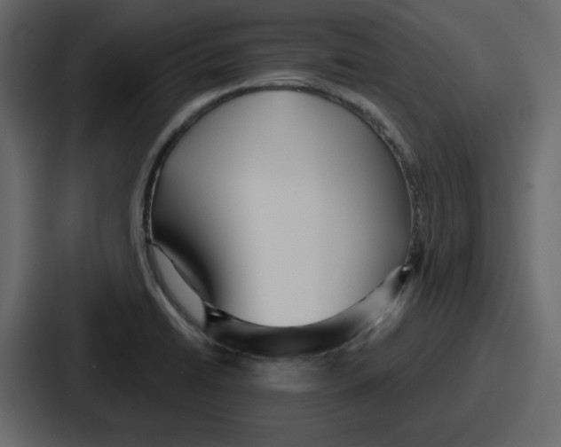 X0000086781422200705111746