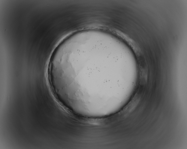 X0000086781423200705111746