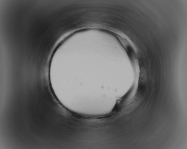 X0000086781424200705111746