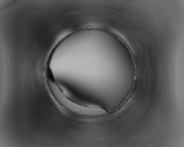 X0000086781426200705111746