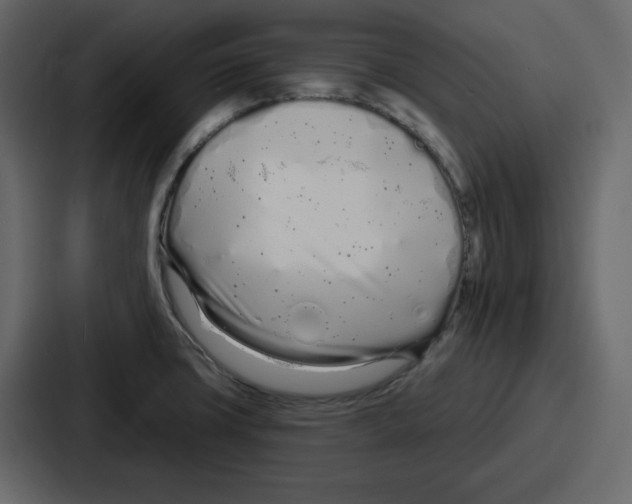 X0000086781427200705111746