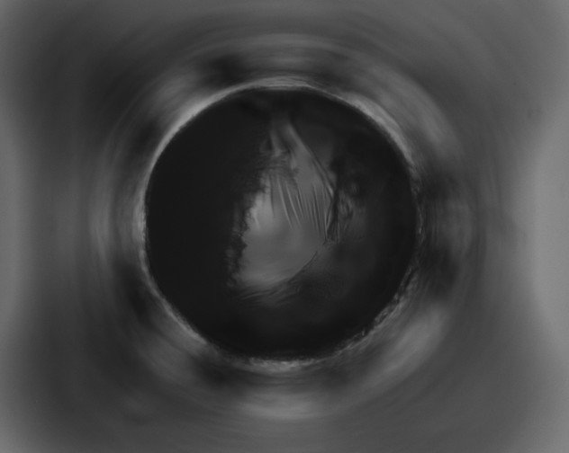 X0000086781428200705111746