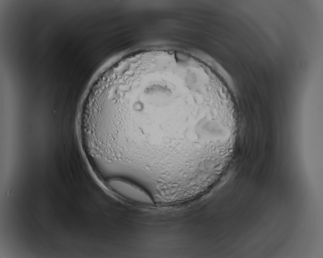 X0000086781429200705111746