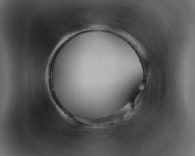 X0000086781430200705111746