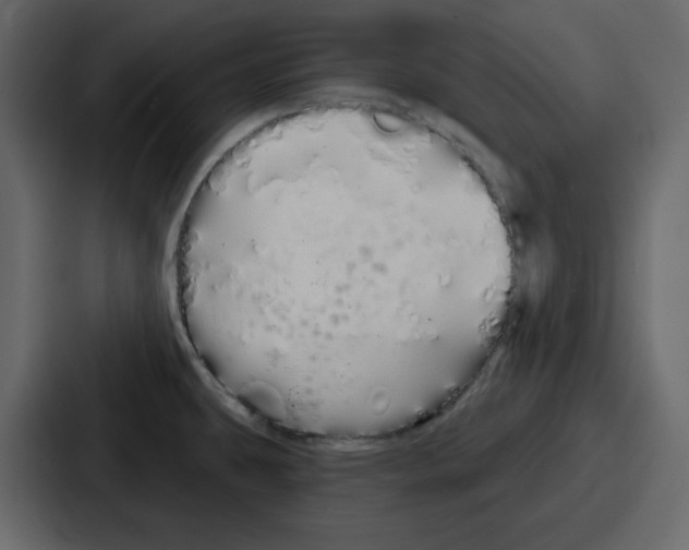 X0000086781431200705111746