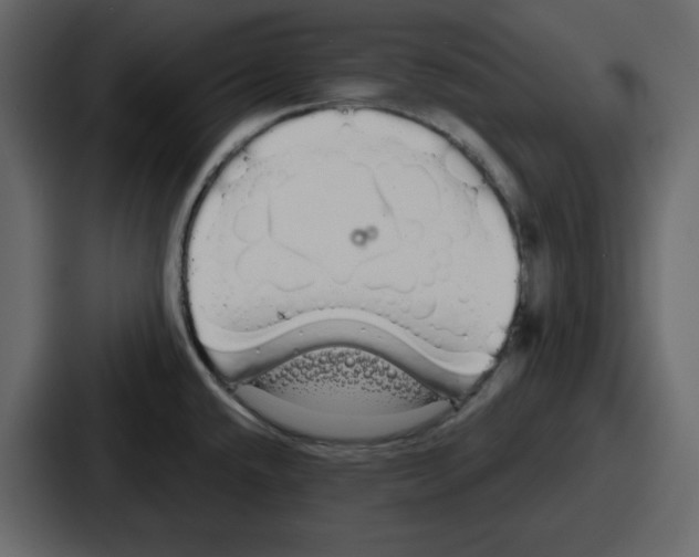 X0000086781432200705111746