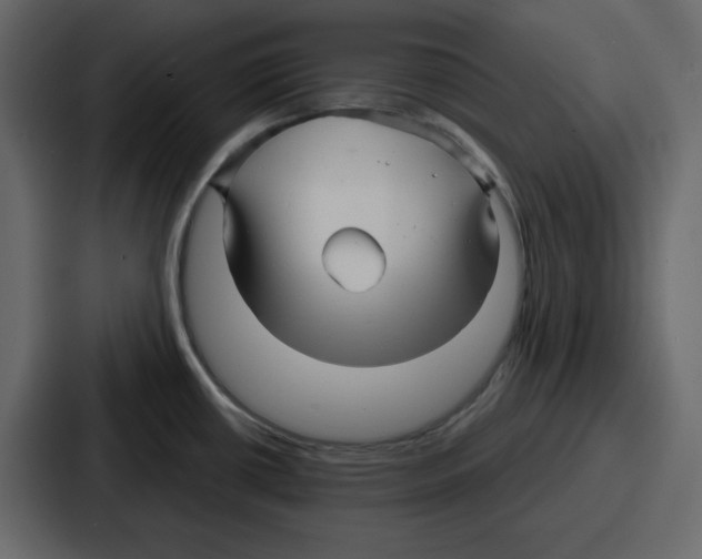 X0000086781434200705111746