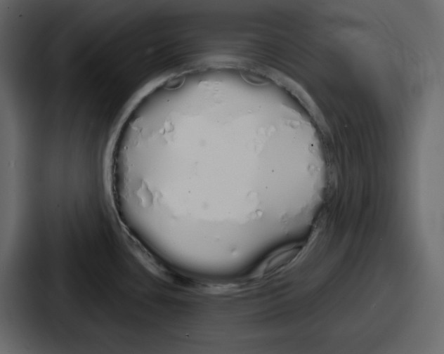 X0000086781435200705111746