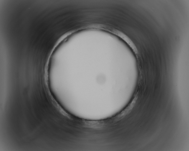 X0000086781436200705111746