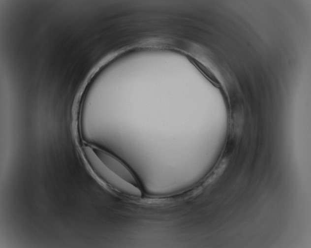 X0000086781437200705111746