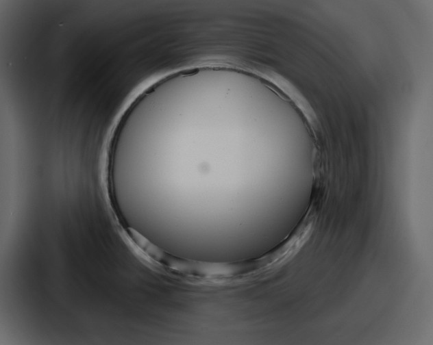 X0000086781438200705111746