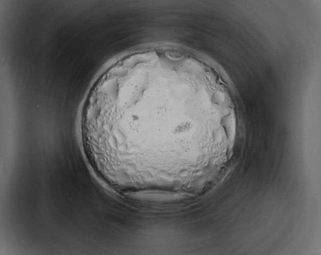 X0000086781439200705111746