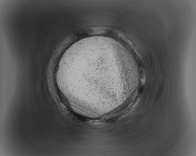 X0000086781441200705111745