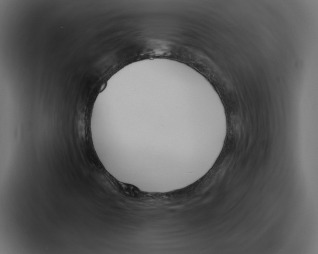 X0000086781442200705111745