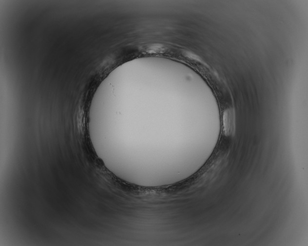 X0000086781443200705111745