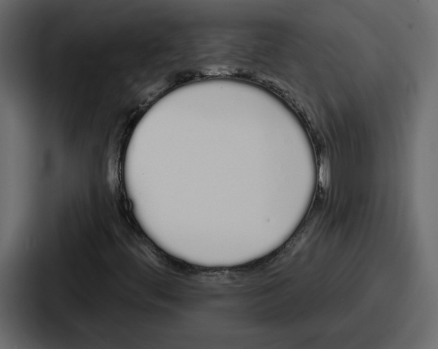 X0000086781444200705111745