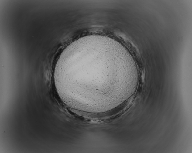 X0000086781445200705111745